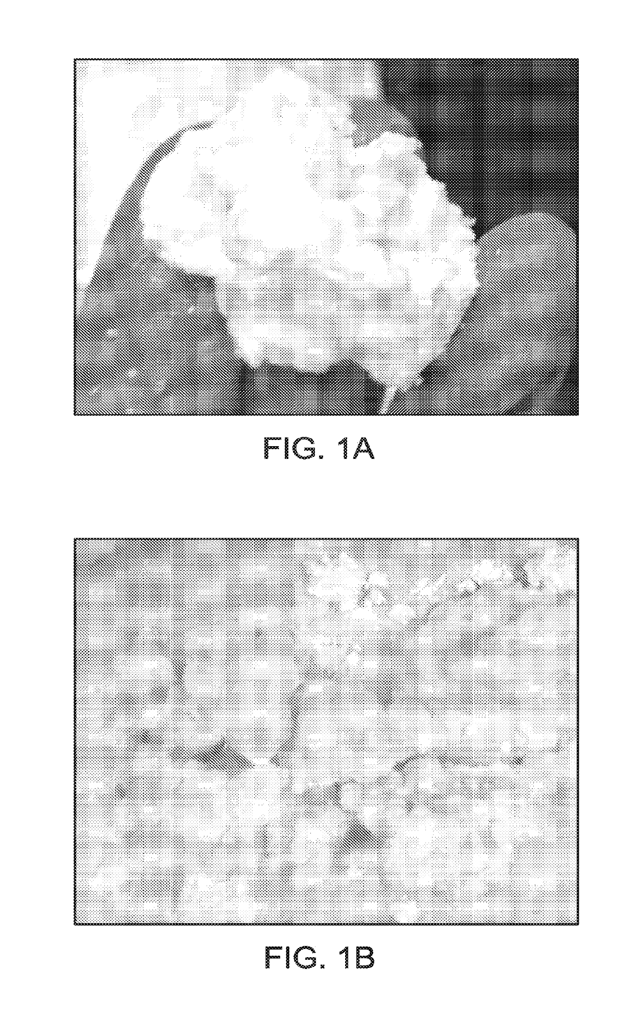 Nanosilica Dispersion for Thermally Insulating Packer Fluid