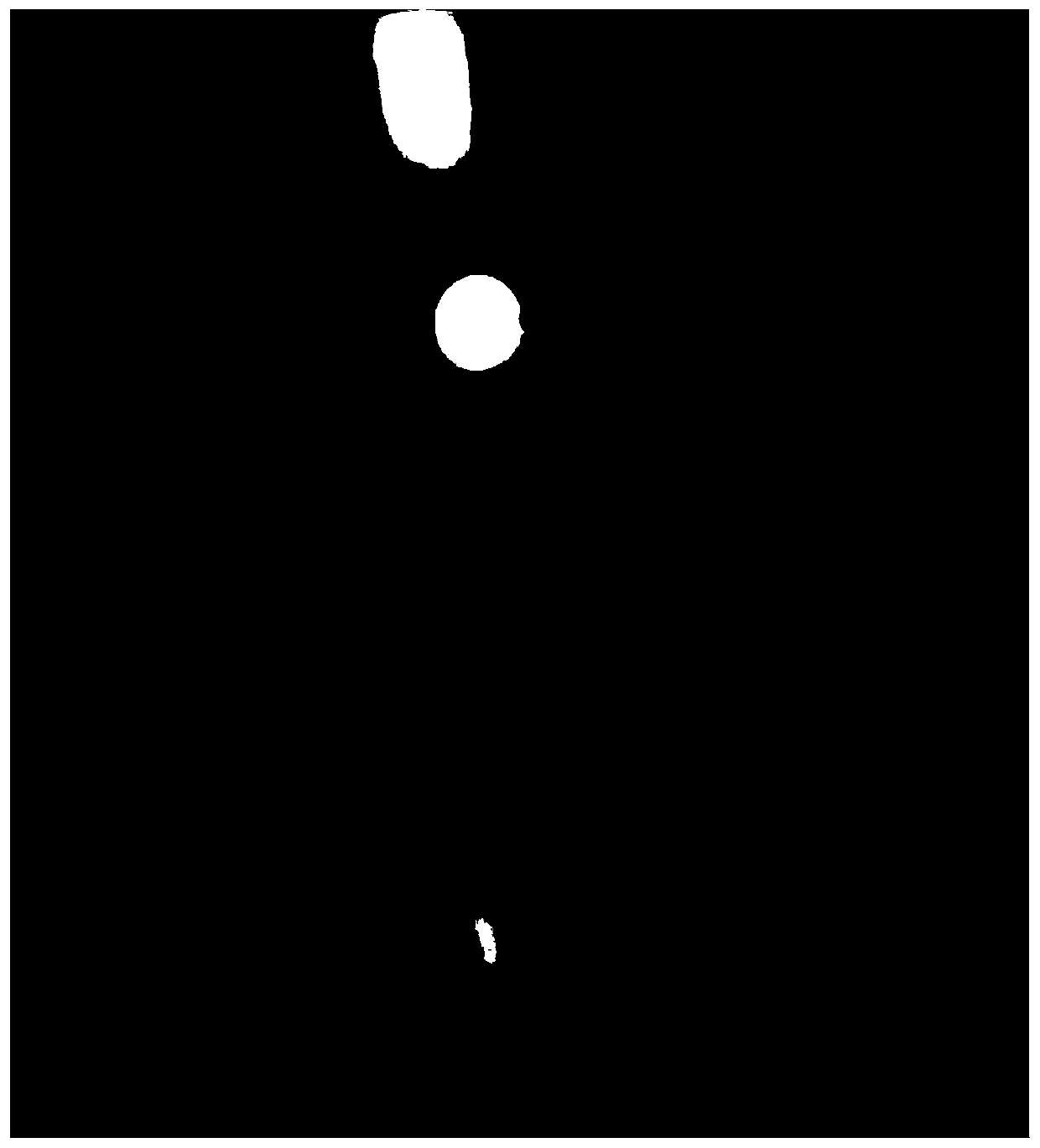 Compound lactic acid bacterium preparation and application thereof in preparing feed additive