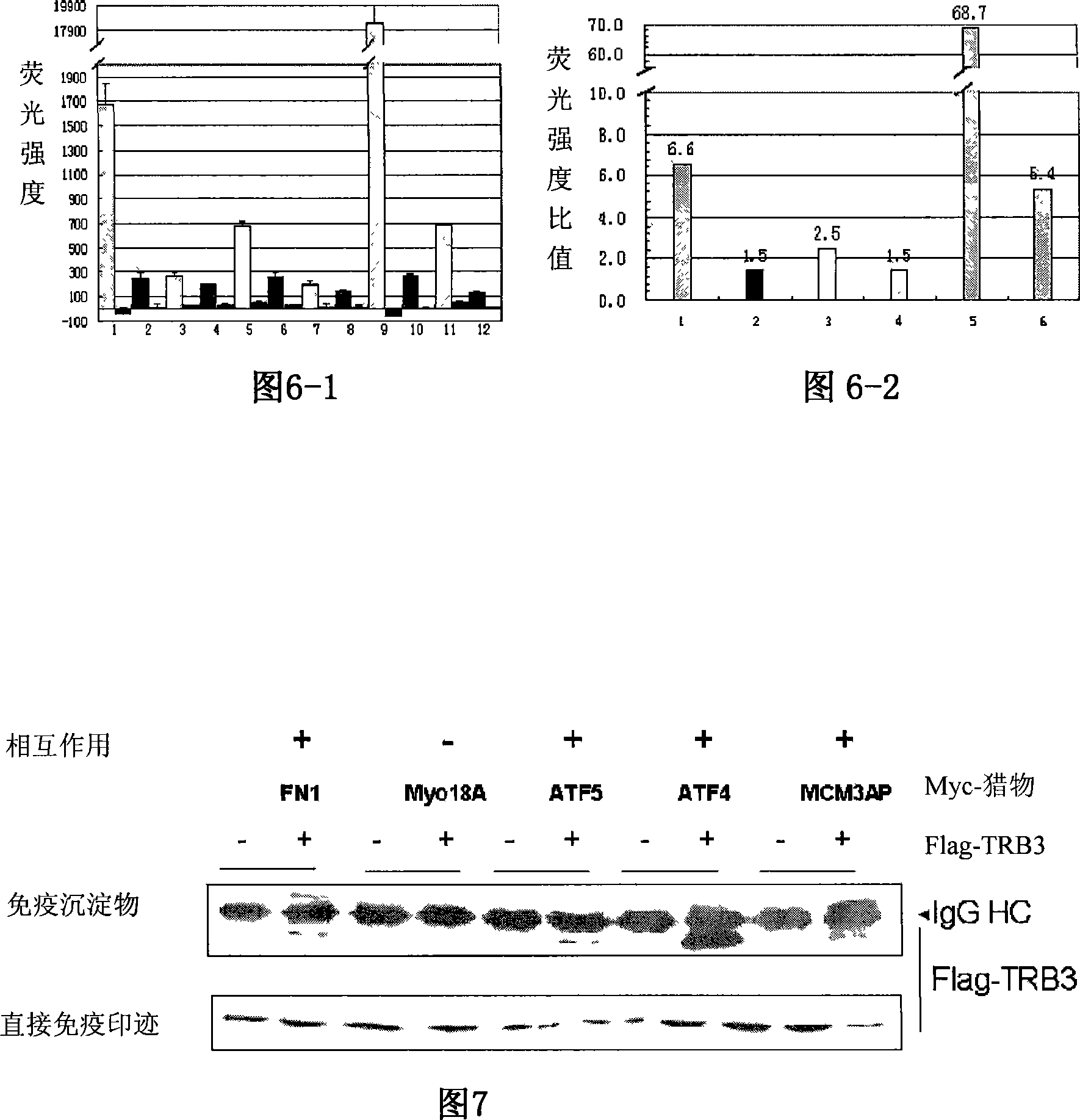 Method for detecting protein interaction by immunological coprecipitation based on protein chip and reagent kit for detecting protein interaction