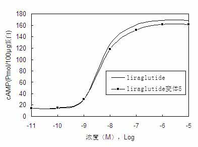 Liraglutide variant and conjugate thereof