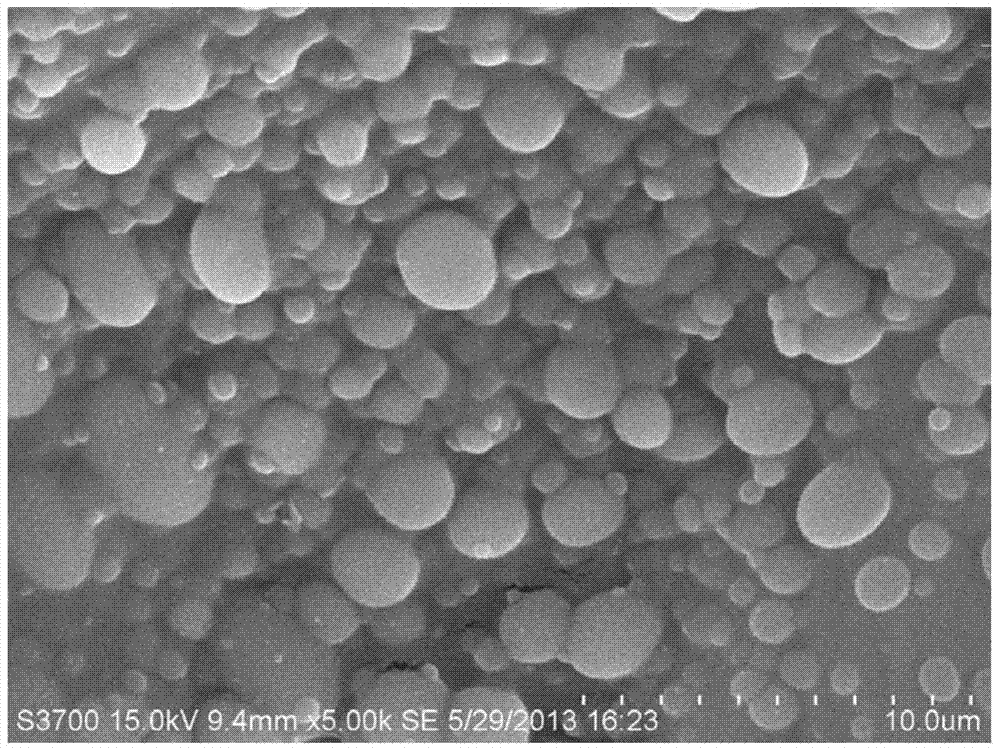 Chemical resistant superhydrophilic and underwater superoleophobic oil-water separation membrane and its preparation and application