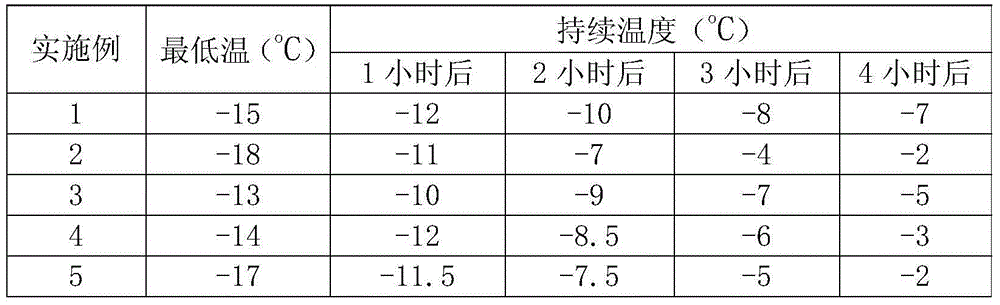 Chemical ice pack and preparation method thereof