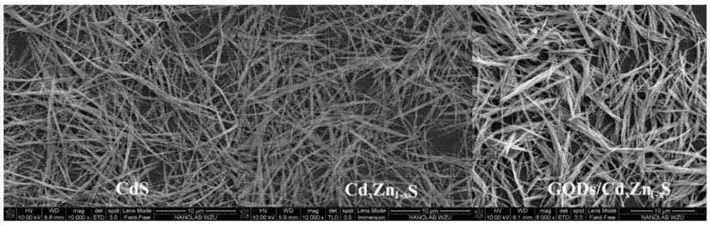 CdxZn1-xS nanowire compound photocatalyst and preparing method and application thereof