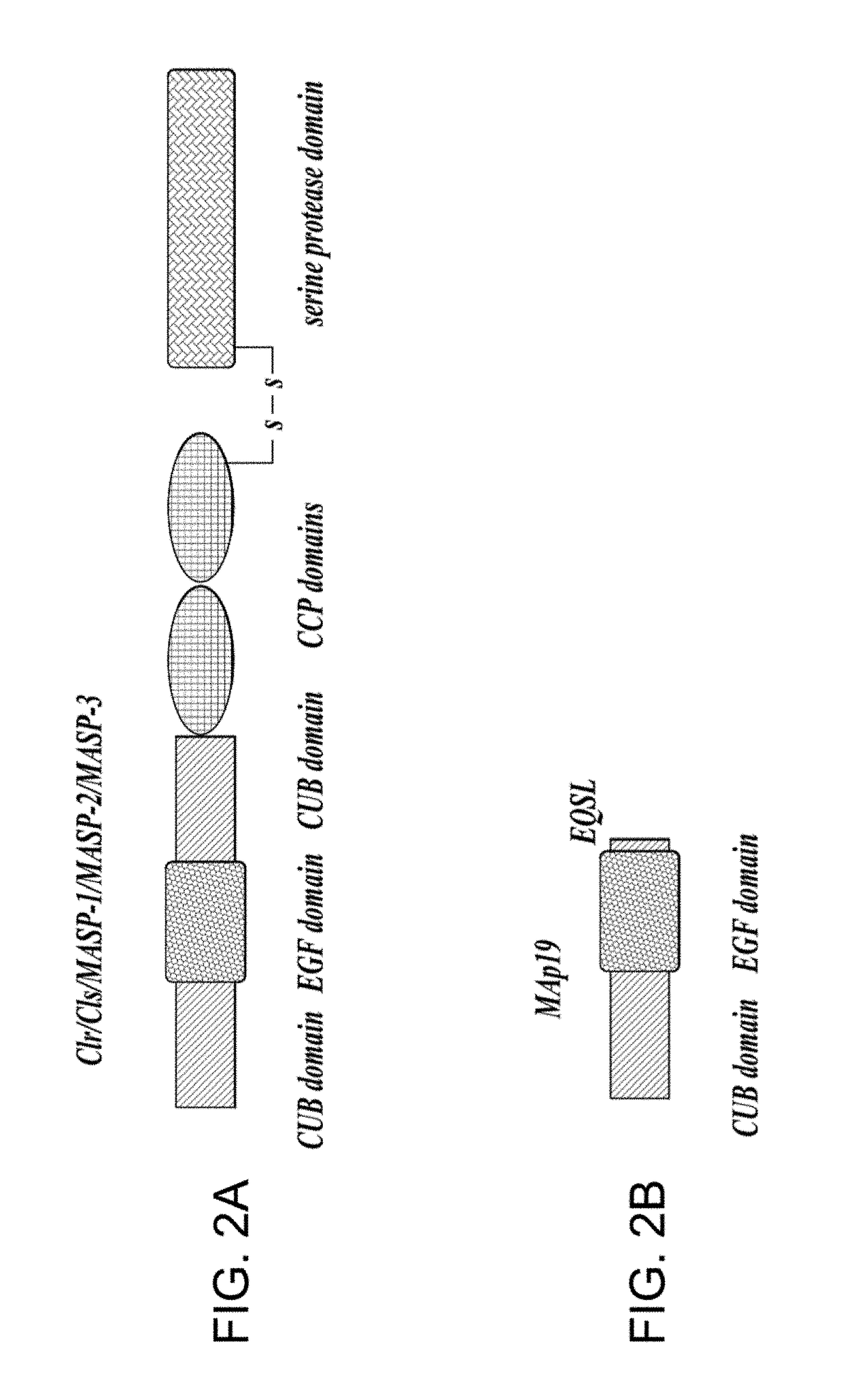 Methods for Inhibiting Fibrosis in a Subject in Need Thereof