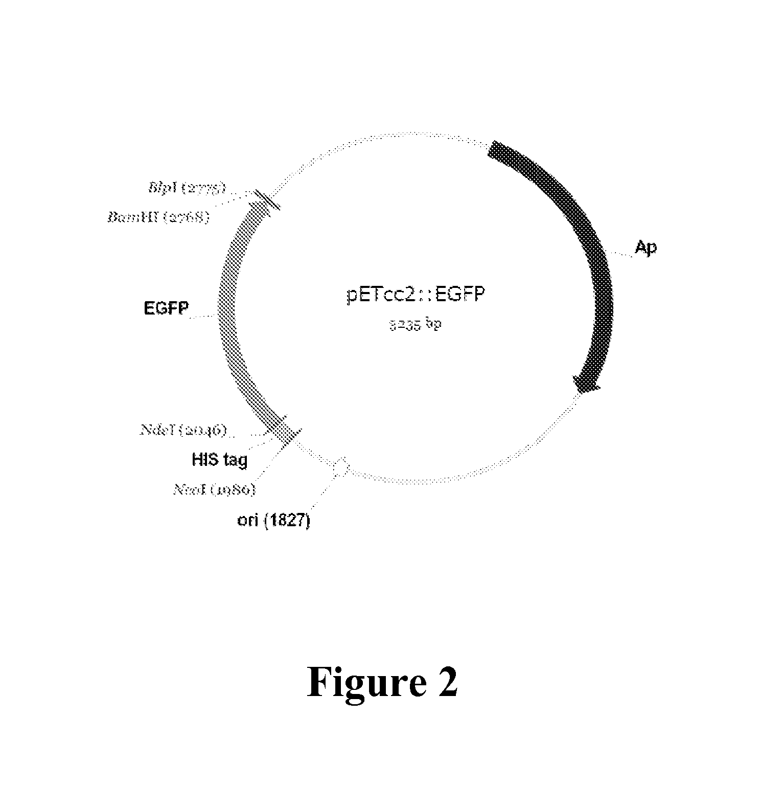 Enzymes and methods for degrading s-triazines and diazines