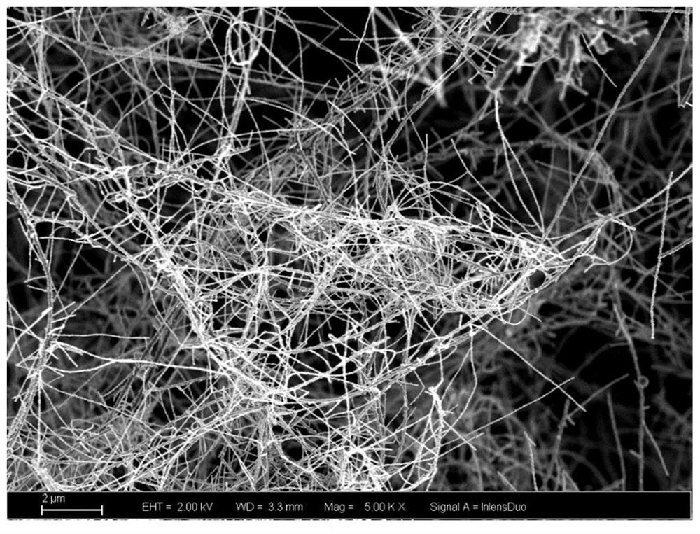 Carbon nanotube surface coating method