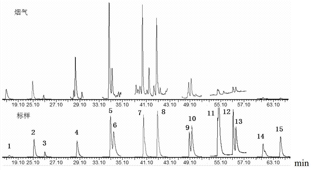 Method for detecting 17 polycyclic aromatic hydrocarbons in cigarette gas