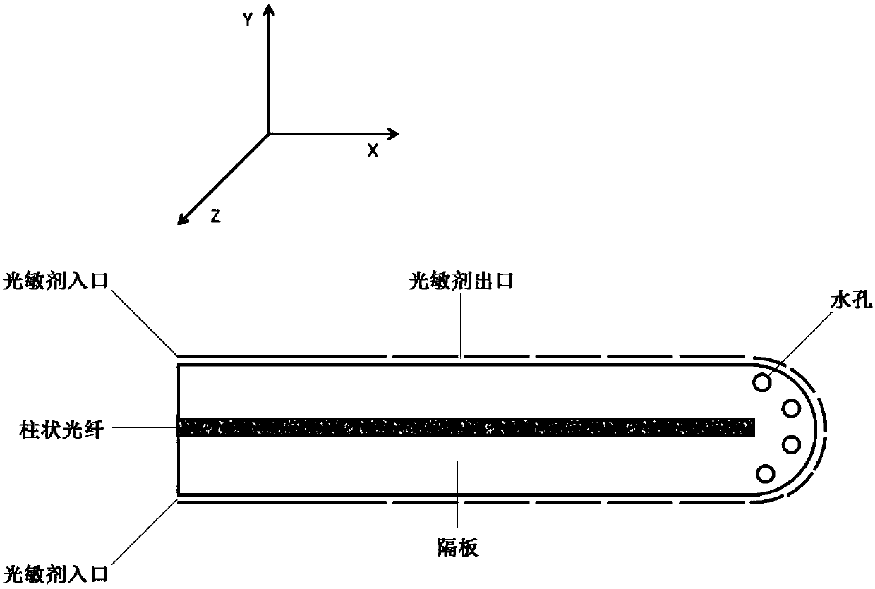 A photodynamic therapy light guide system that can be used in human body cavity