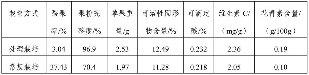 A cultivation method for improving the fruit quality of blueberries in the Jianghuai region