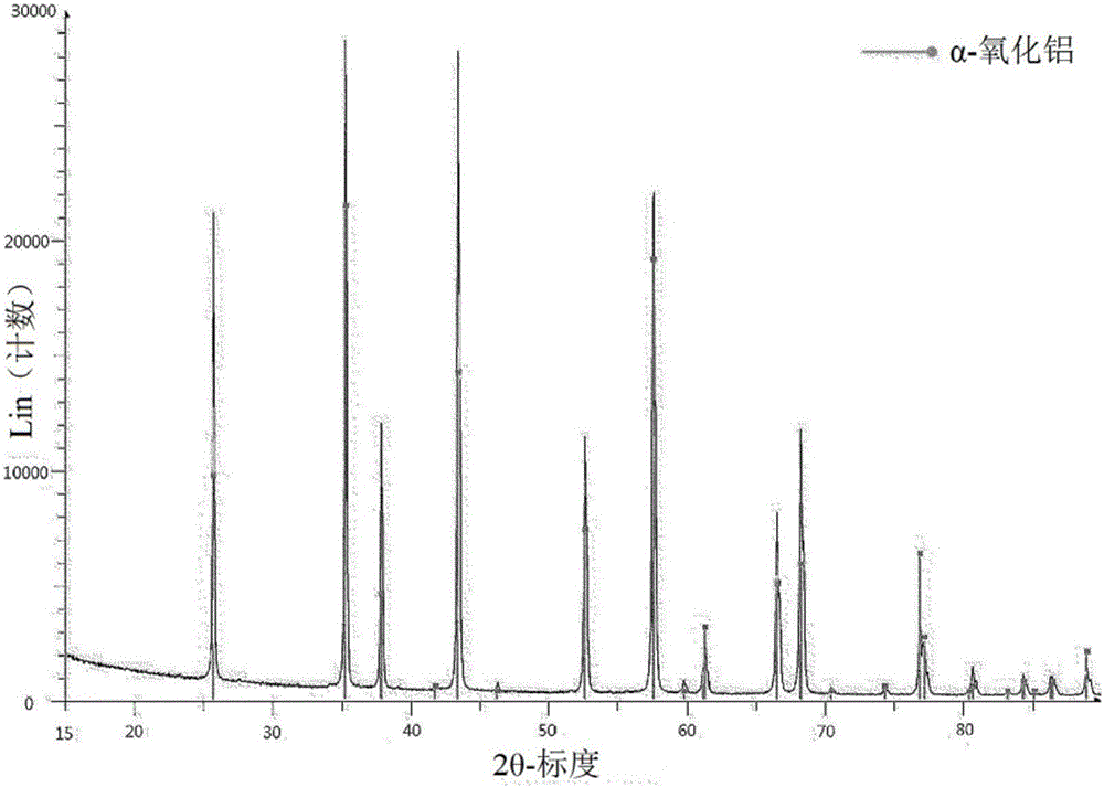 Catalyst for synthesizing carbon nanotube, containing amorphous alpha-alumina, and method for preparing carbon nanotube by using same