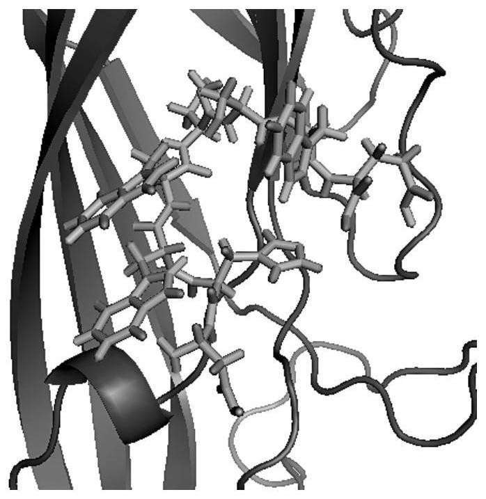 Polypeptide sequence specifically binding to porcine circovirus type 2 cap protein and its application