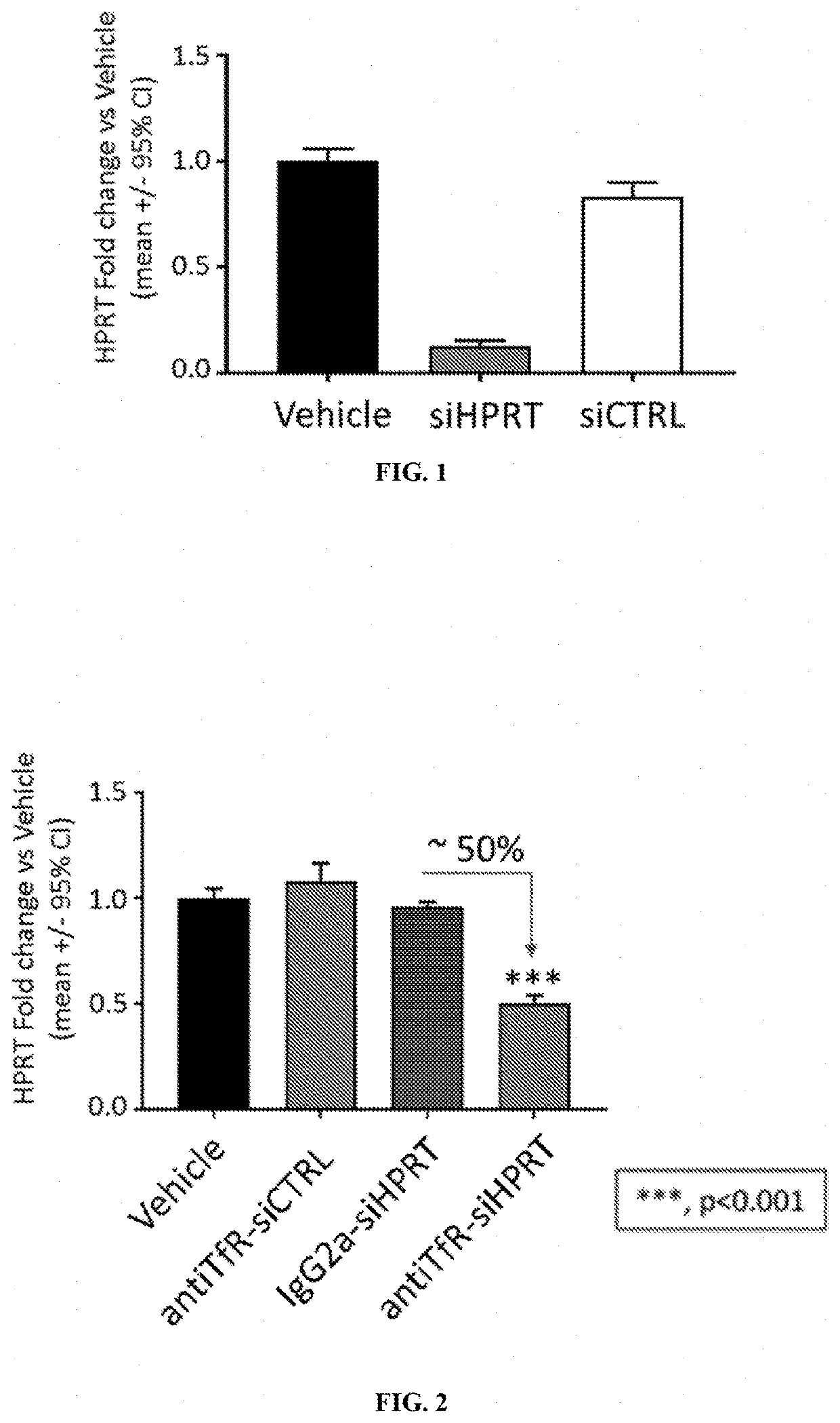 Muscle targeting complexes and uses thereof for treating pompe disease