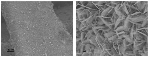 Preparation and application of molybdenum-doped cobalt selenide foamed nickel composite electrode for electrolyzing water