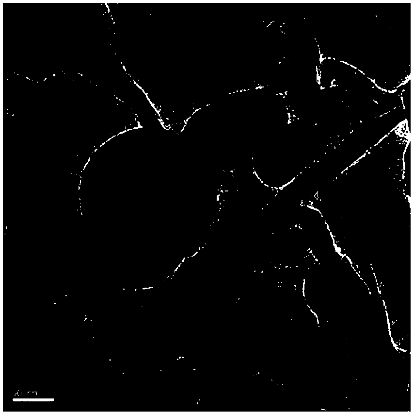 Graphene oxide-loaded nano-iron material with magnetic separation properties in underground medium and preparation method thereof