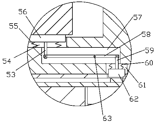 Veterinary remote injection device