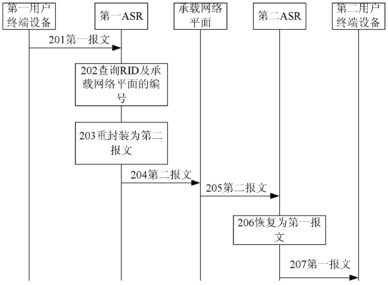 Carrying network and data transmission method