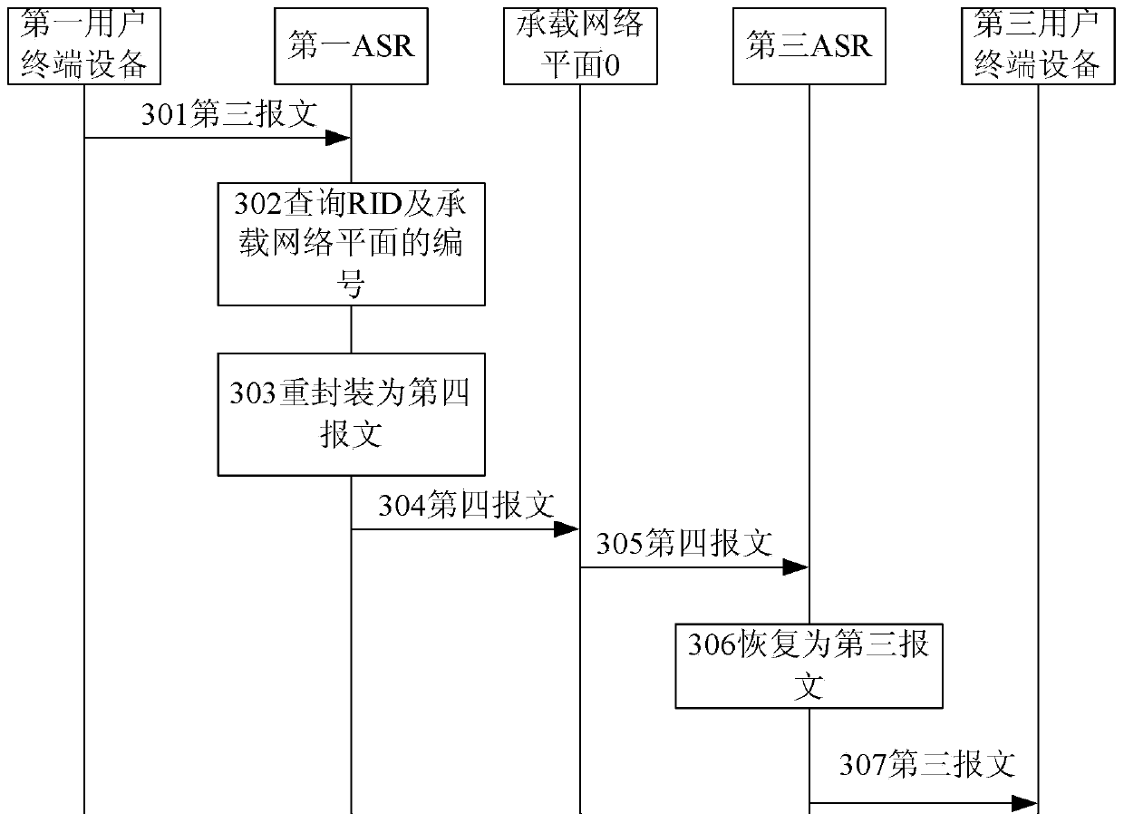 Carrying network and data transmission method