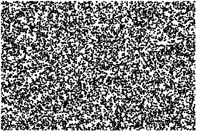 Method for manufacturing high-temperature speckles