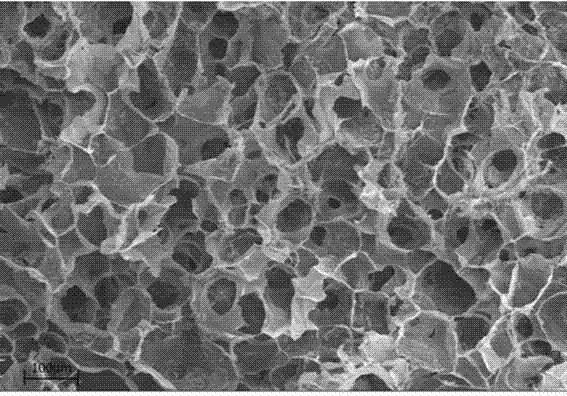 Oil-soluble/water-soluble organic-inorganic three-phase porous micro-nanometer composite bone repair material