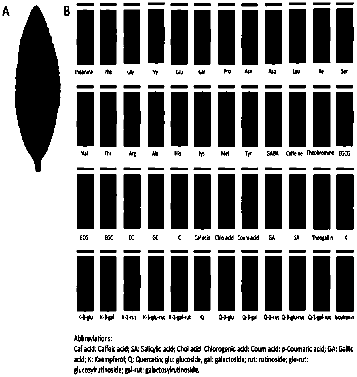 Novel method for detecting metabolite spatial distribution in fresh tea leaves based on targeted metabonomics