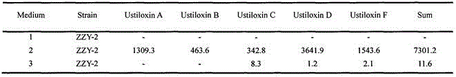 Effective separation method of Ustilaginoidea virens (Cooke) Takahashi capable of producing five ustiloxins
