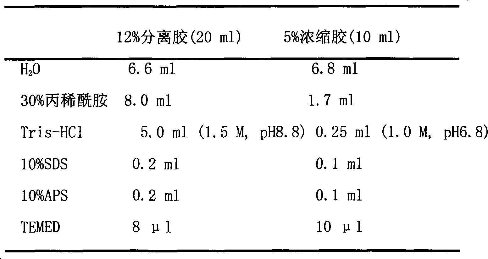 Separation and purification method of wild-type p53 protein