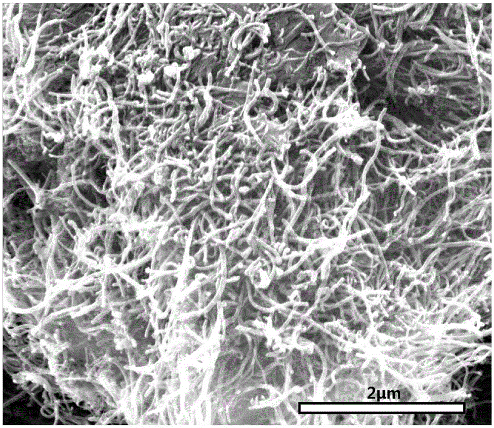 Preparation method and application of bacterial cellulose/polyaniline ...