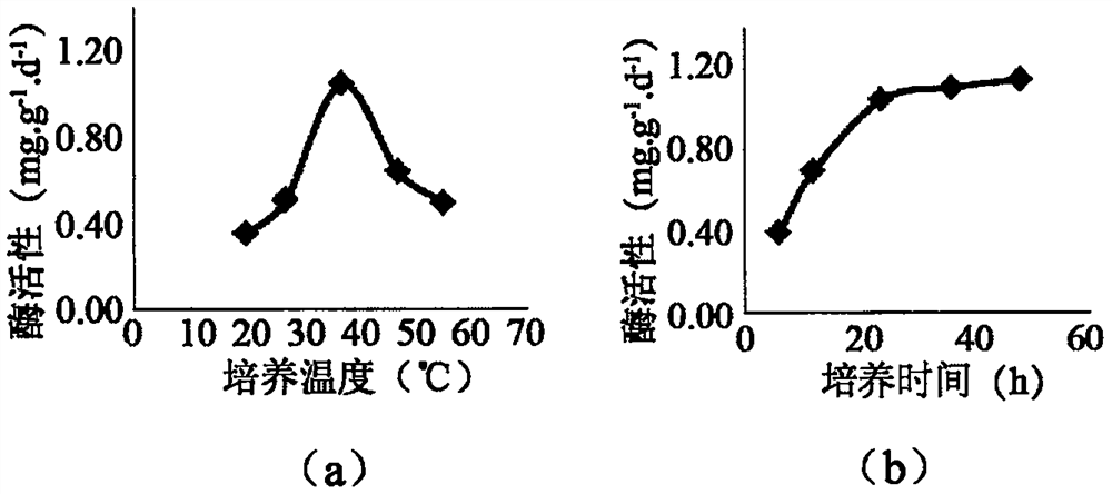 Soil biological activity and productivity evaluation method based on soil enzyme activity measurement