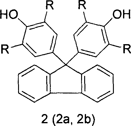 Sulfonated high polymer containing bisphenol fluorine, synthesis and application thereof