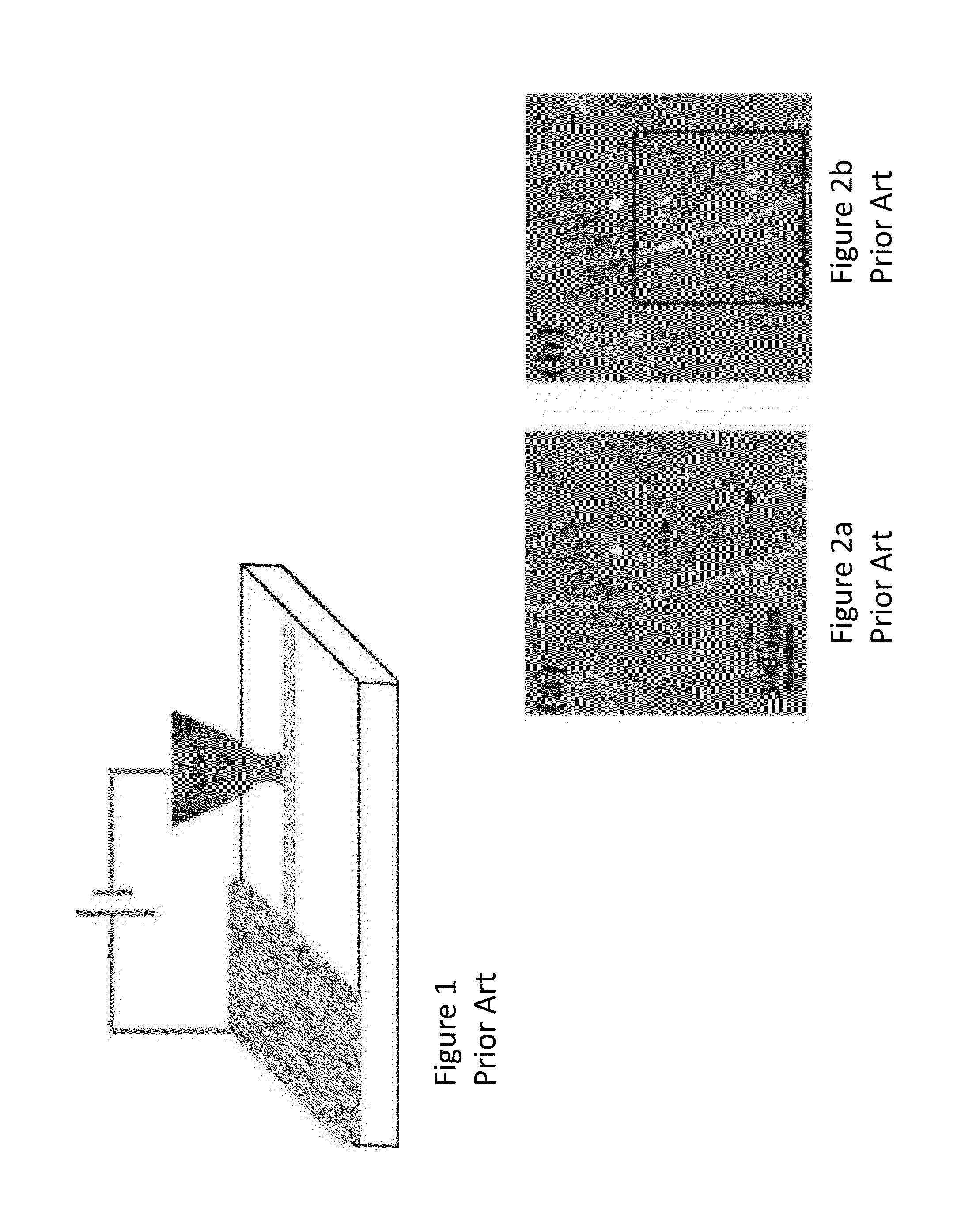 Biosensor and system and process for forming