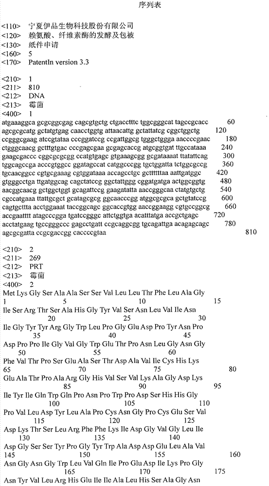 Fermentation and coating of lysine and cellulose