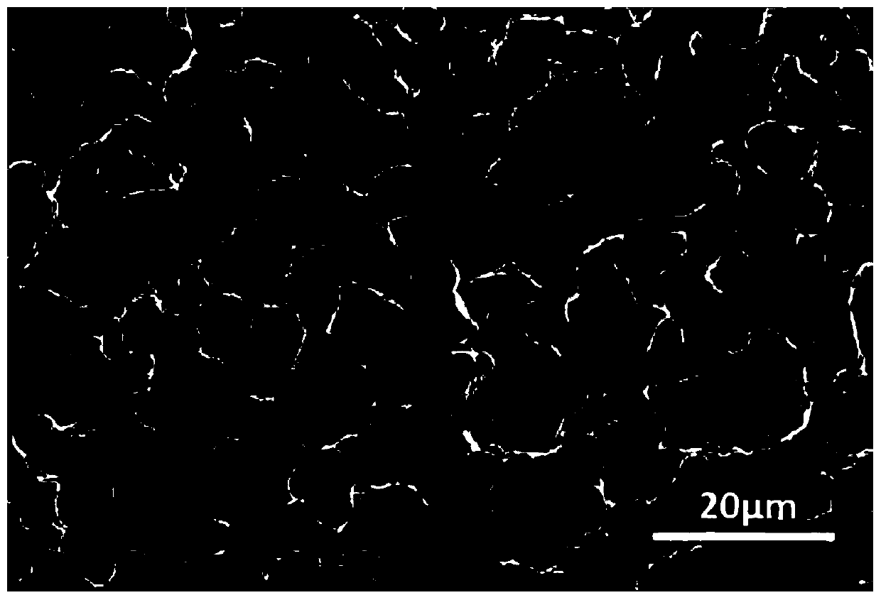 Liquid metal battery positive electrode current collector with metal carbide coating with concave-convex surface microstructure