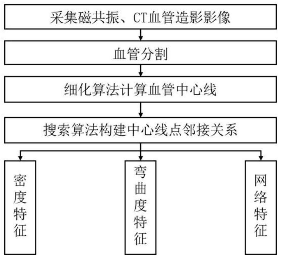 Cerebrovascular morphological characteristic quantitative analysis method