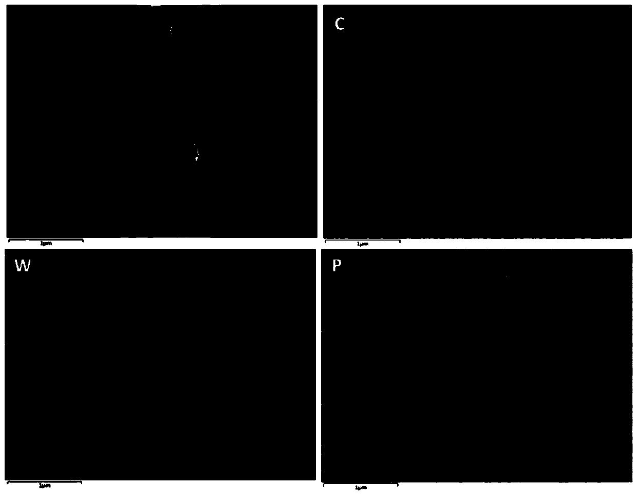 Nano tungsten phosphide/carbon or tungsten nitride/carbon composite material and preparation method thereof