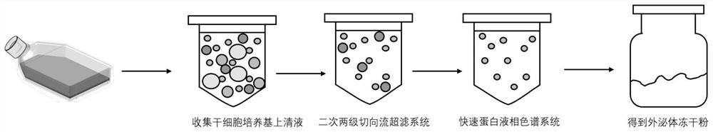 Exosome purification method and device