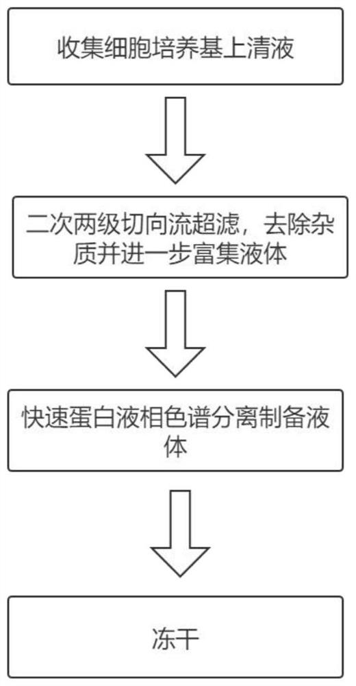 Exosome purification method and device