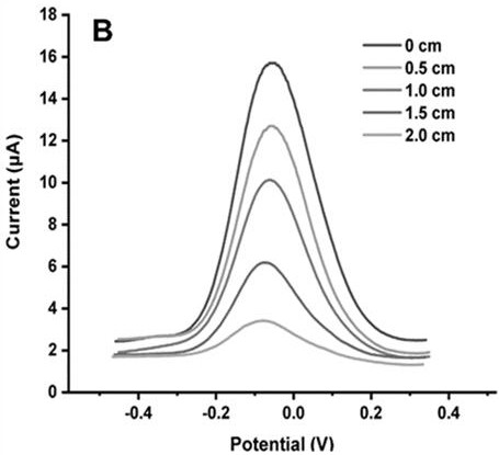 Plant methyl jasmonate in-situ detection method based on plate electrode biosensor