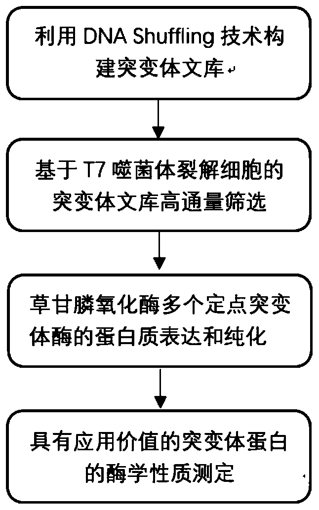 Glyphosate oxidase mutant, cloning, expression and applications thereof