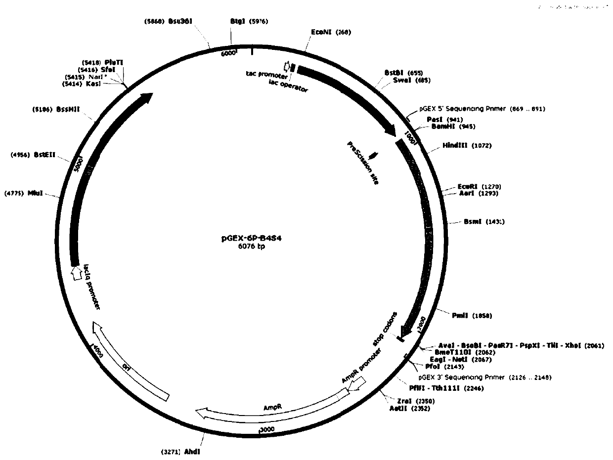 Glyphosate oxidase mutant, cloning, expression and applications thereof