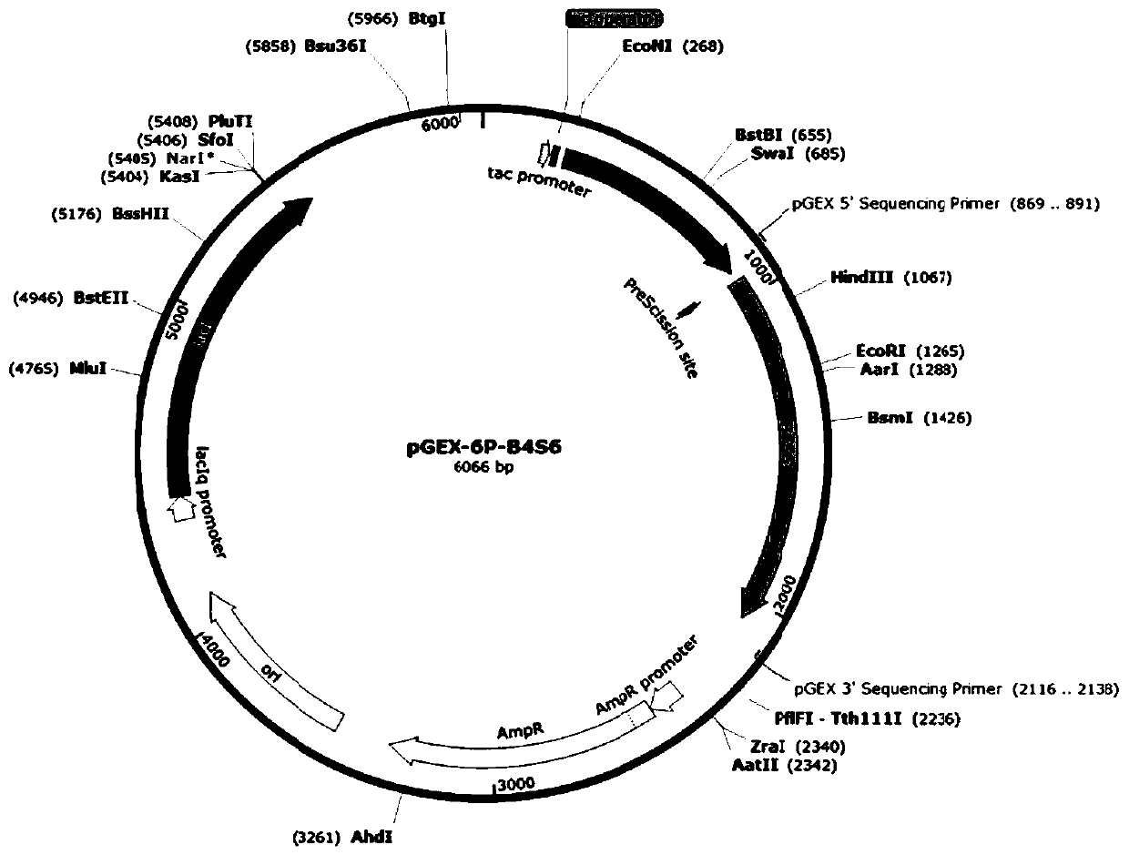 Glyphosate oxidase mutant, cloning, expression and applications thereof