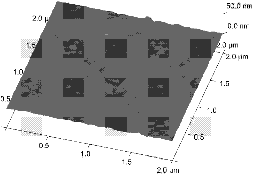 A succinyl-β-cyclodextrin-modified protein chip for Lyme disease detection and its preparation and application