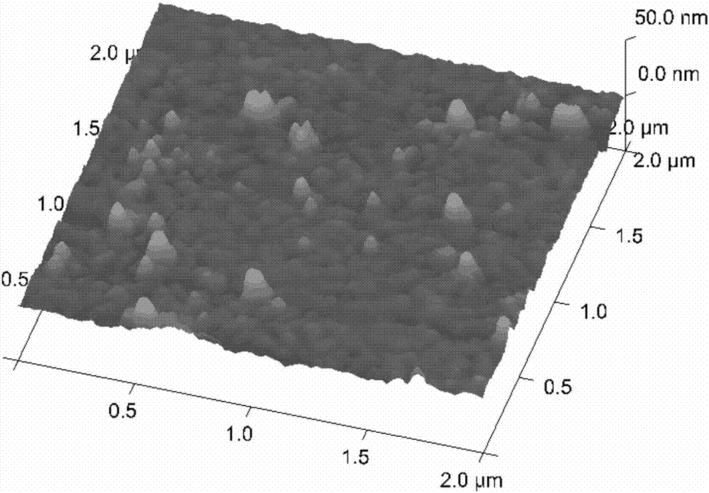 A succinyl-β-cyclodextrin-modified protein chip for Lyme disease detection and its preparation and application