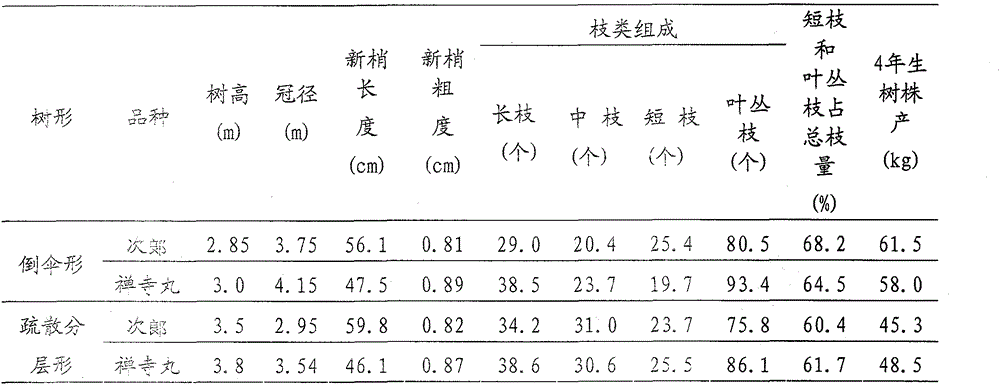 Reshaping trimming method for inverted umbrella shape of persimmon tree