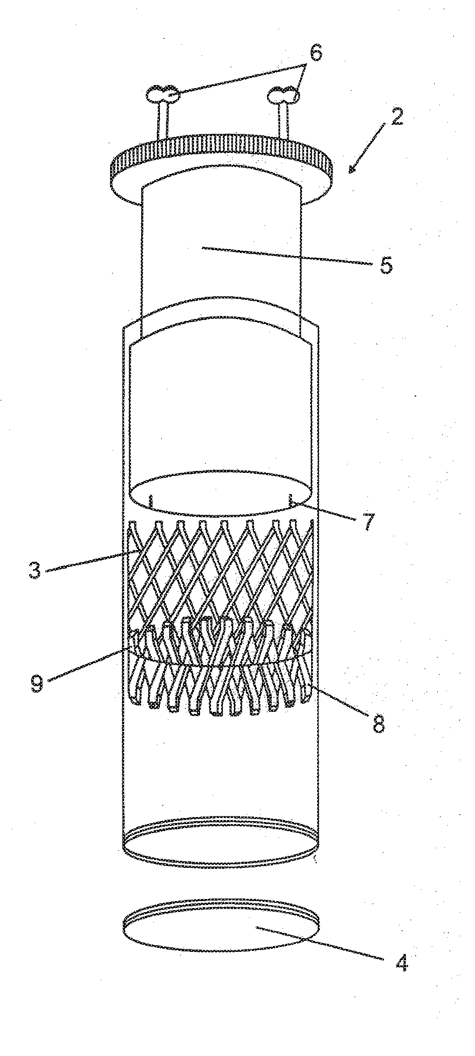 Stent With Mechanical Or Biological Heart Valve For Minimally Invasive Valve Replacement Procedure And Stent Application Device