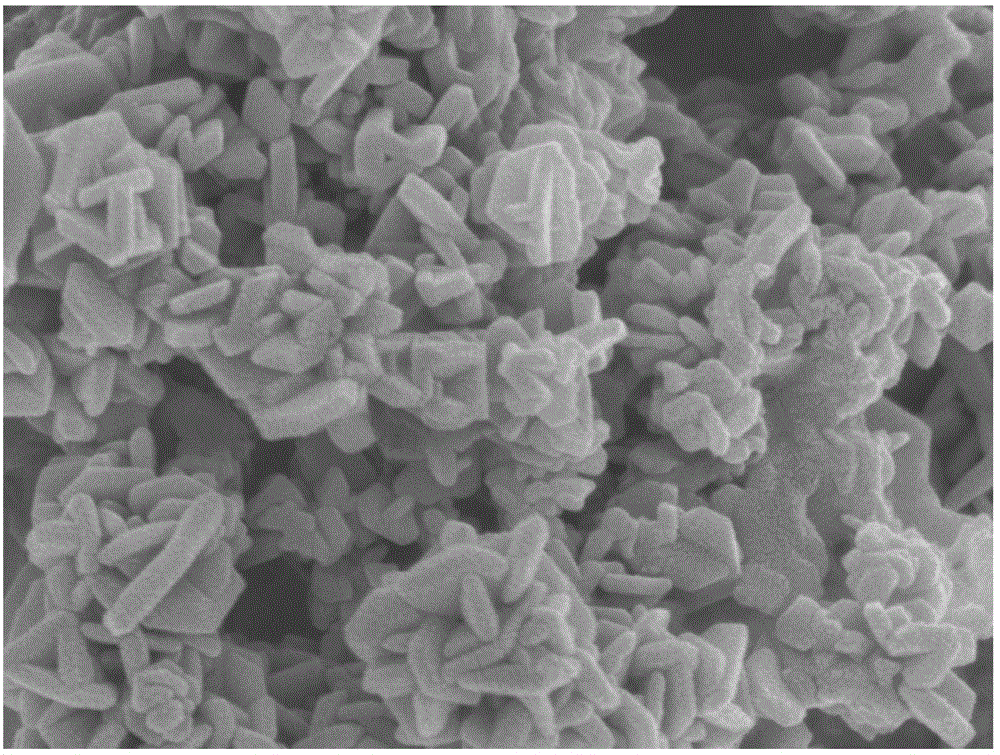 Method for preparing lithium cobalt oxide nanosheets
