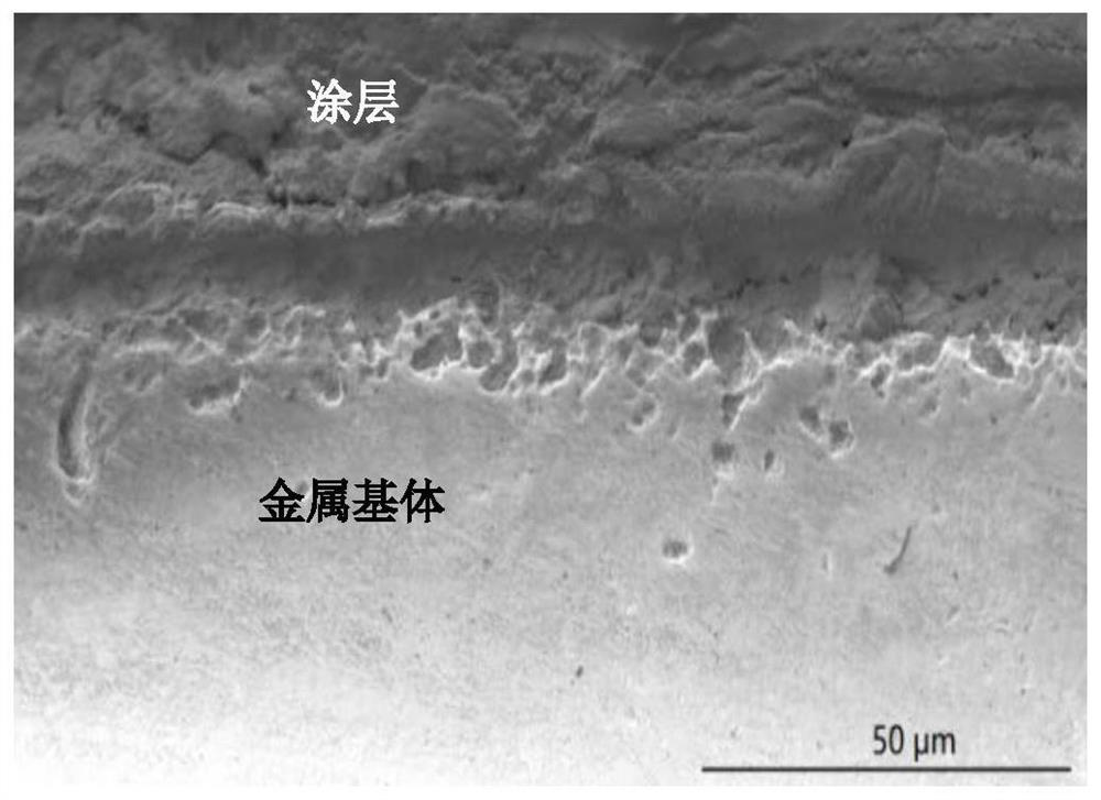 Steel surface coating and preparation method thereof