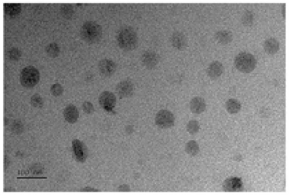 Targeted telomerase nano-drug delivery system as well as preparation method and application thereof