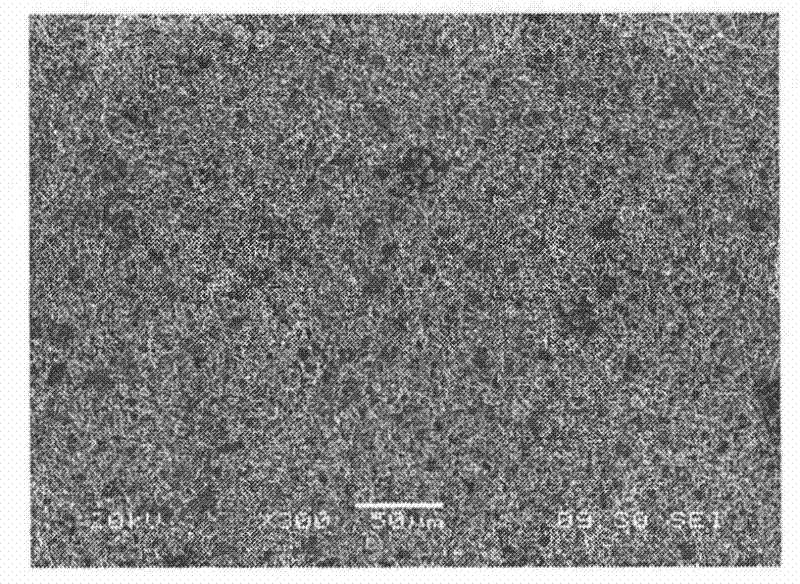 Method for preparing carbon/carbon composite material antioxidation coating layer