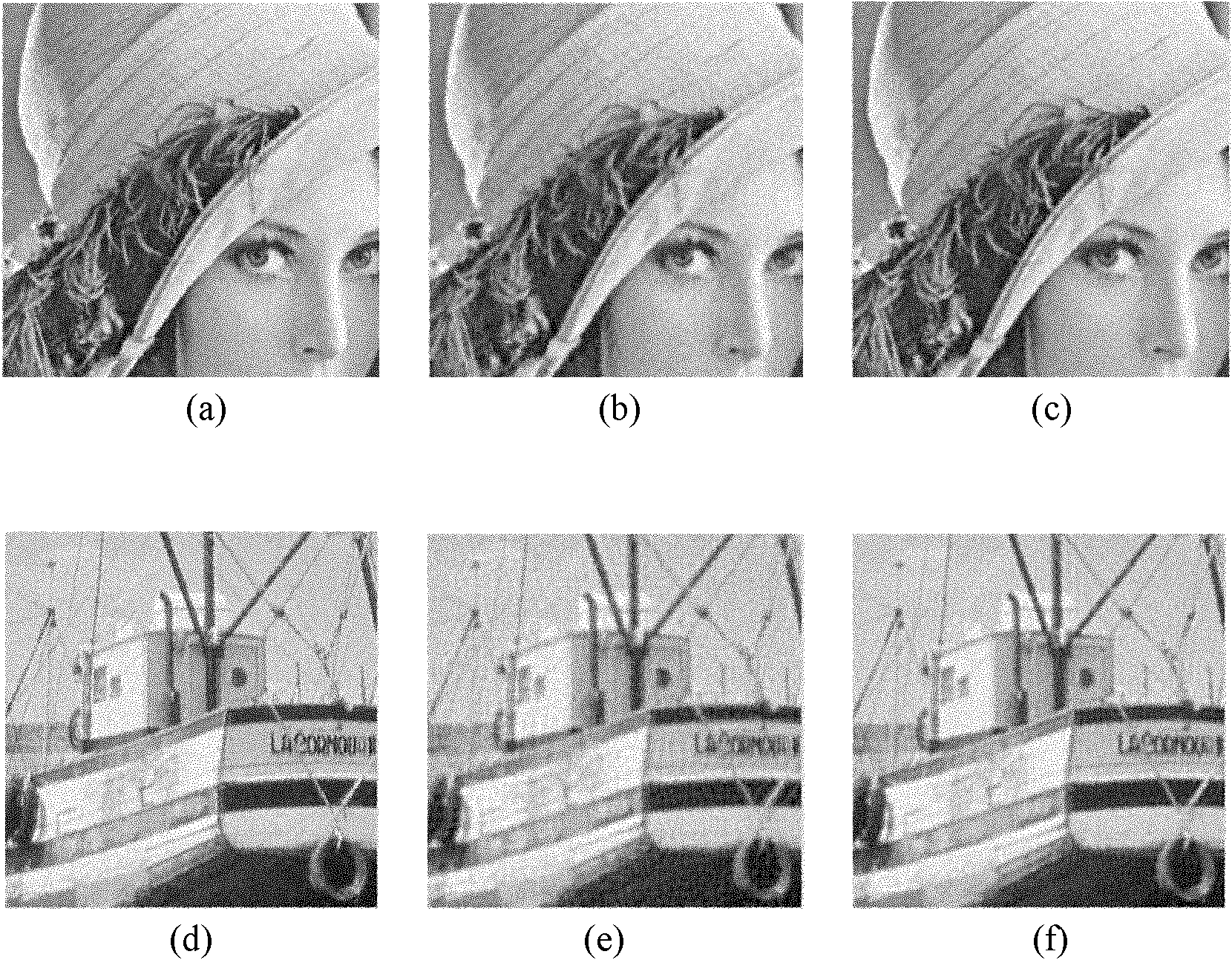 Image structure model-based compressed sensing image reconstruction method