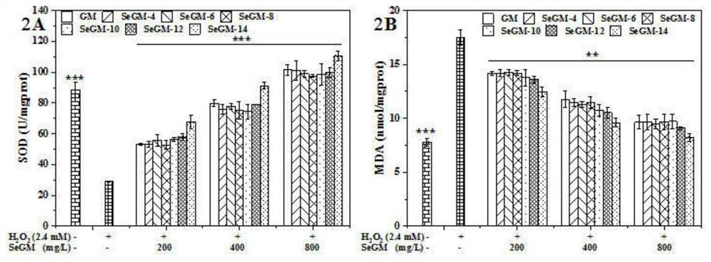 Application of selenized galactomannan in preparation of oxidative stress injury resisting agent